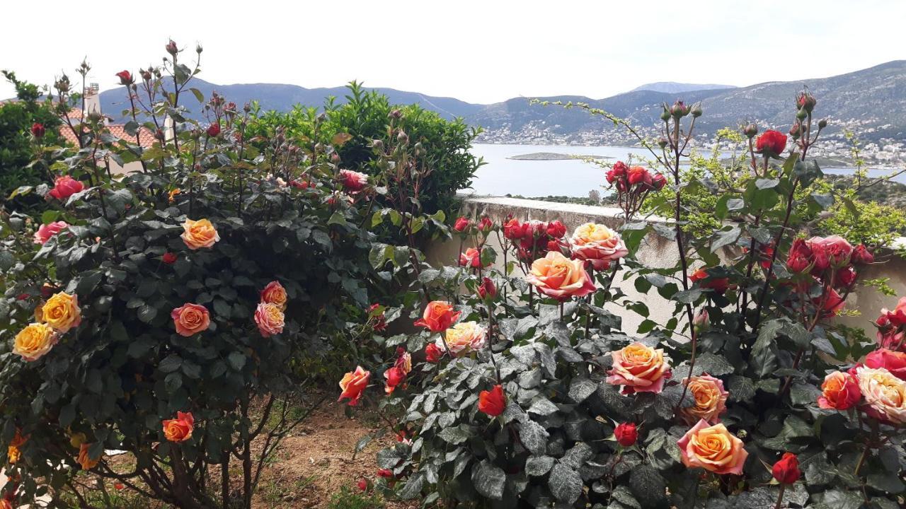 Georgia'S Holiday Apartment With Amazing Sea View Porto Rafti Ngoại thất bức ảnh